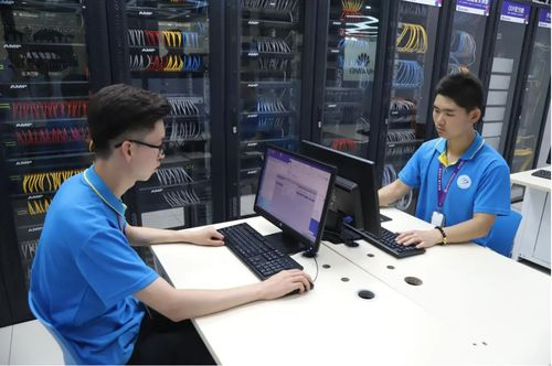 計算機專業還能報考嗎？從985軟件學院低就業率看行業現狀與理性選擇